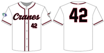 Picture of Home Jersey