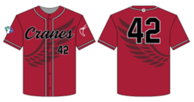 Picture of Road Jersey