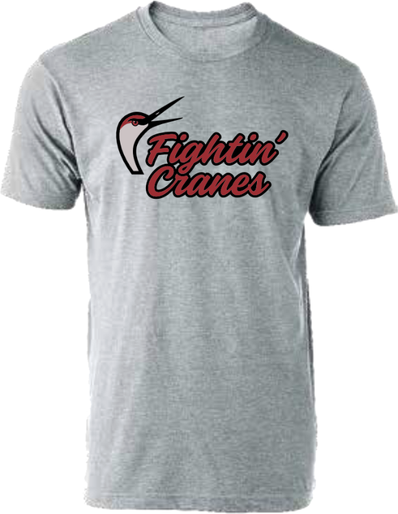 Picture of Grey Shirt