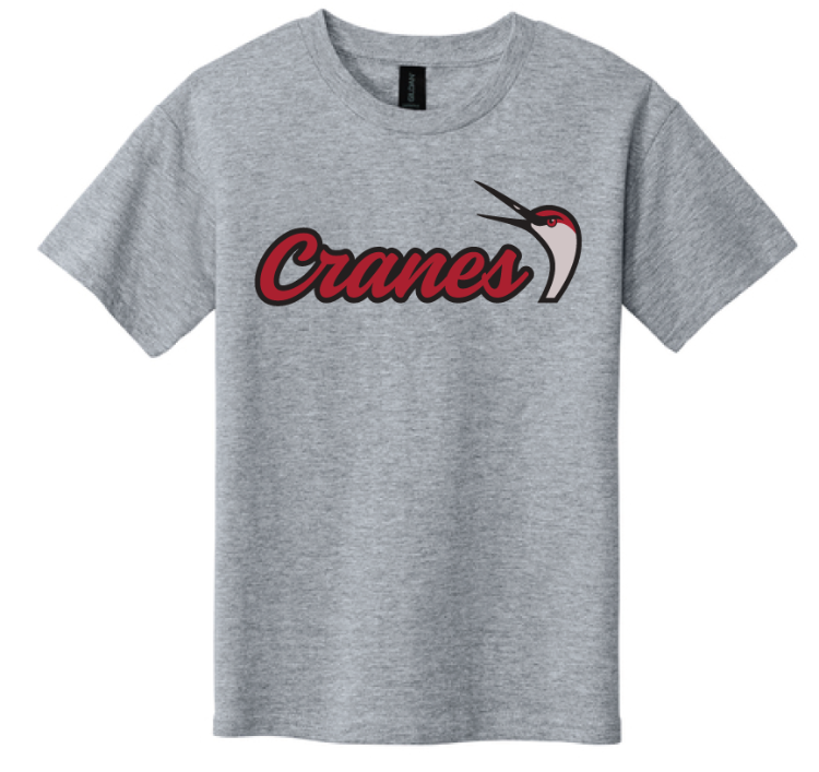 Picture of Grey Youth Tee